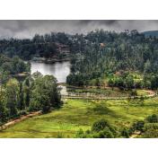 Day 06 (Exploring South indian temples with hill stations 9 NIGHTS  10 DAYS) kodaikanal-hill-station1.jpg